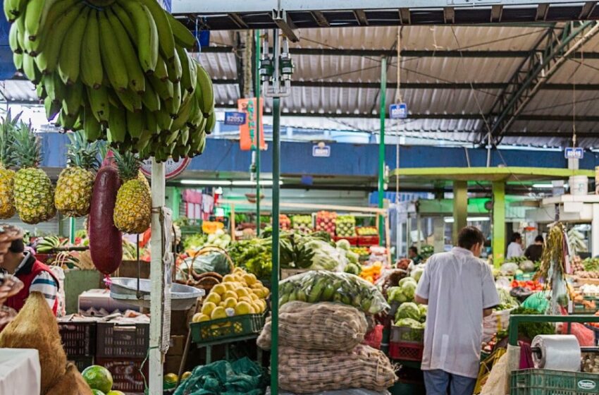  Fortalecen Red de Abastecimiento de Alimentos en el Meta